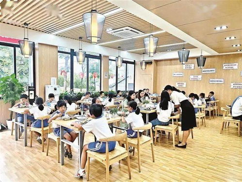 宝安区暑假托管服务正式启动，解决家长暑期“看护难”